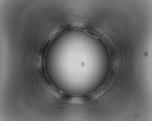 X0000097620708200803071510