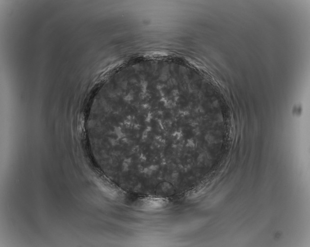 X0000097620711200803071510