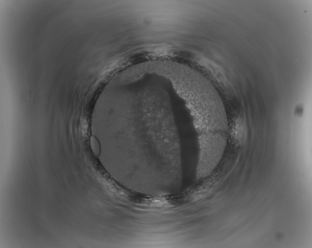 X0000097620715200803071510
