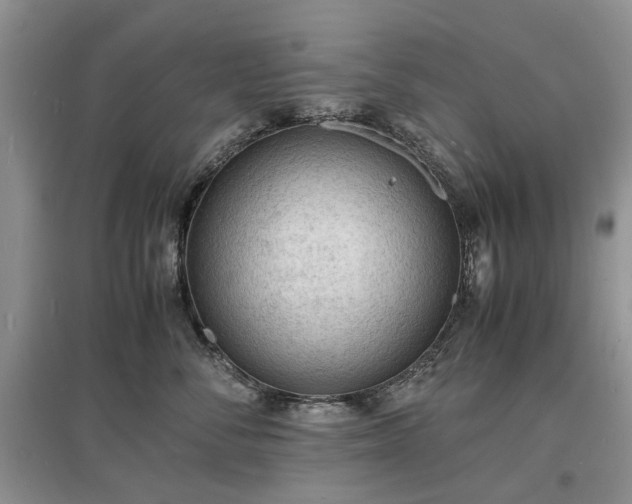 X0000097620716200803071510