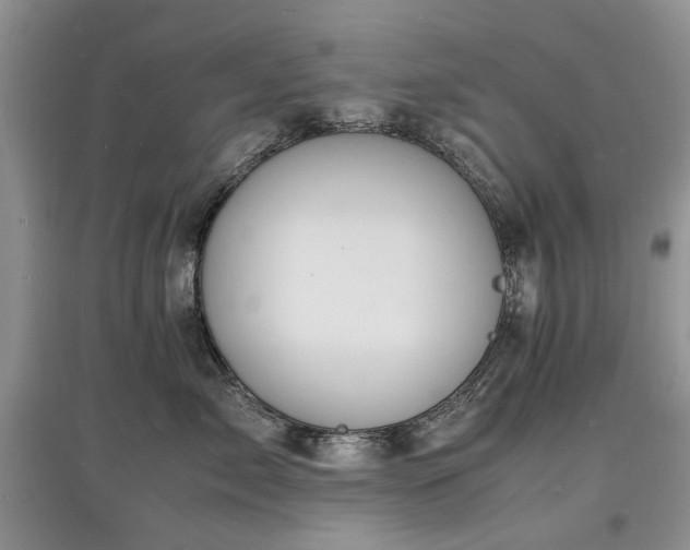 X0000097620717200803071510