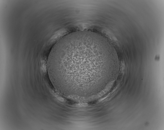 X0000097620719200803071510