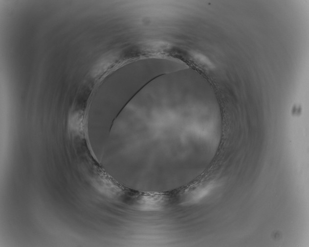 X0000097620720200803071510