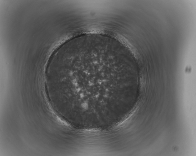 X0000097620721200803071509