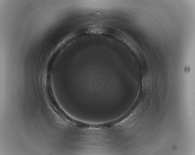 X0000097620722200803071509