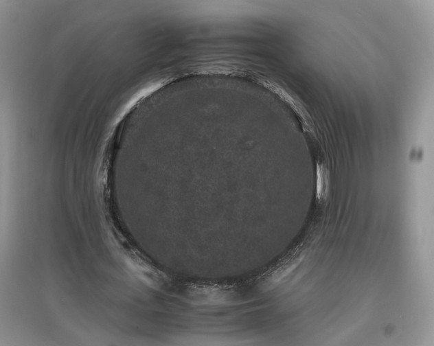 X0000097620723200803071509