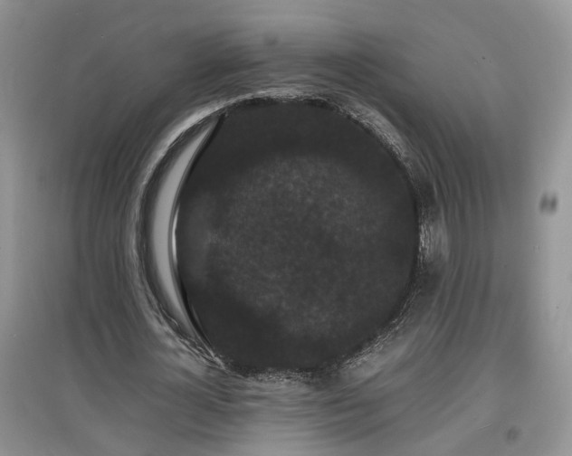 X0000097620724200803071509