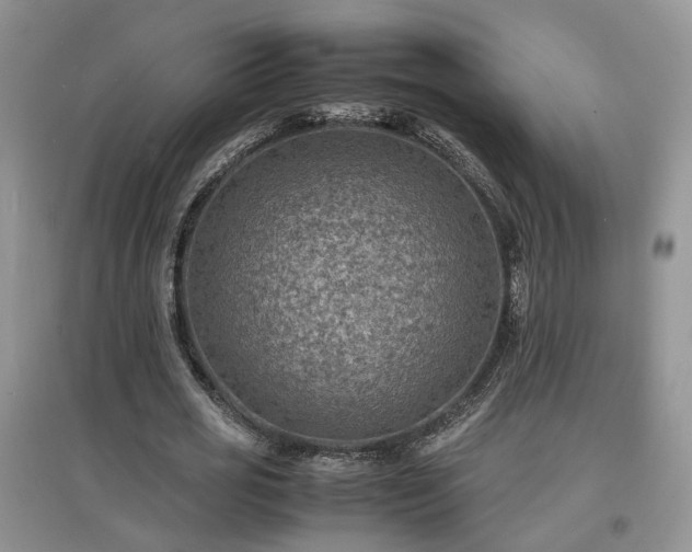 X0000097620725200803071509