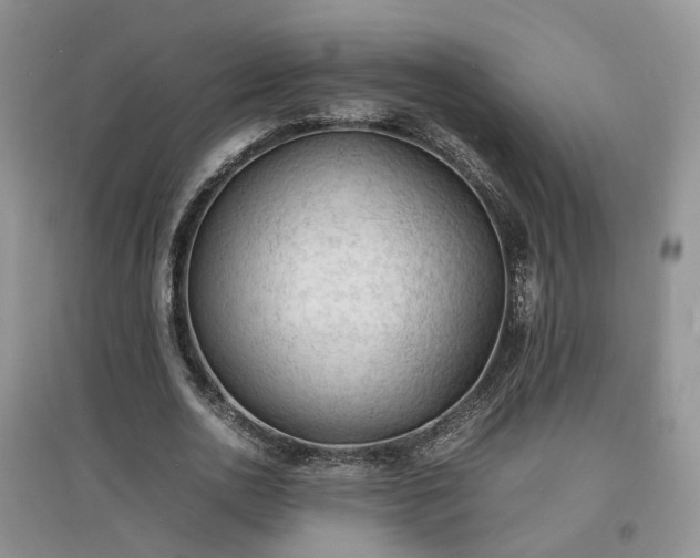X0000097620726200803071509