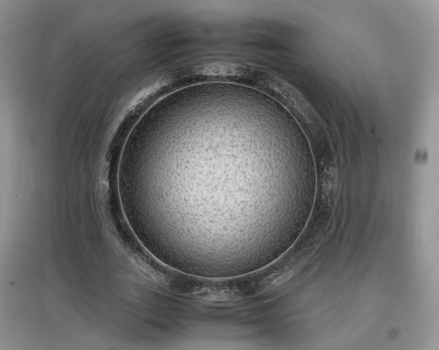 X0000097620727200803071509