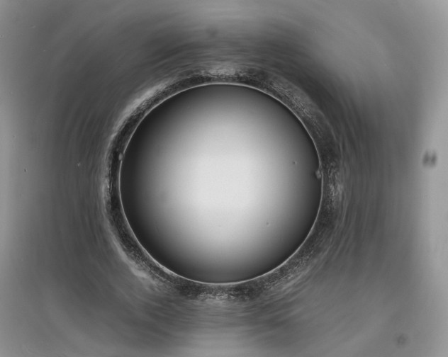 X0000097620728200803071509