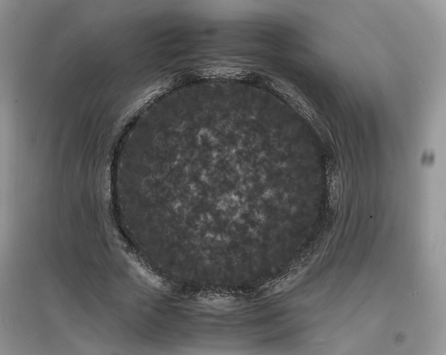 X0000097620729200803071510