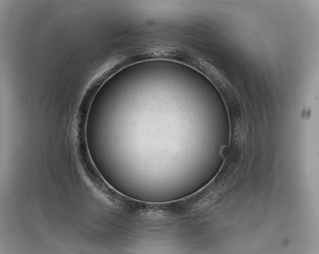 X0000097620730200803071510