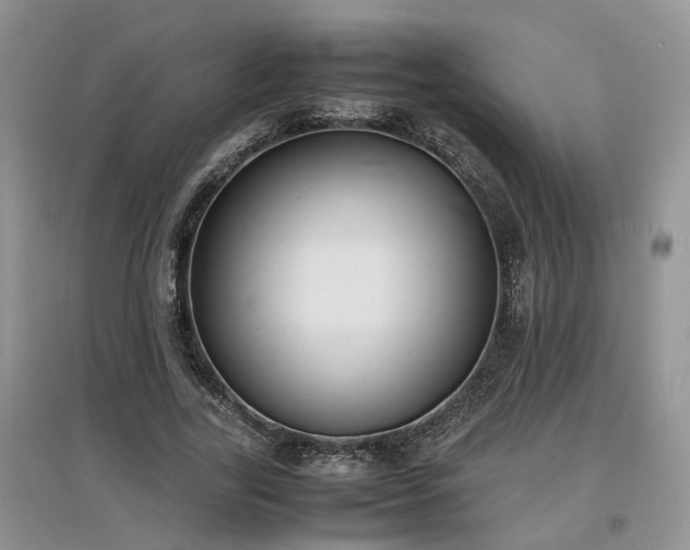 X0000097620731200803071510