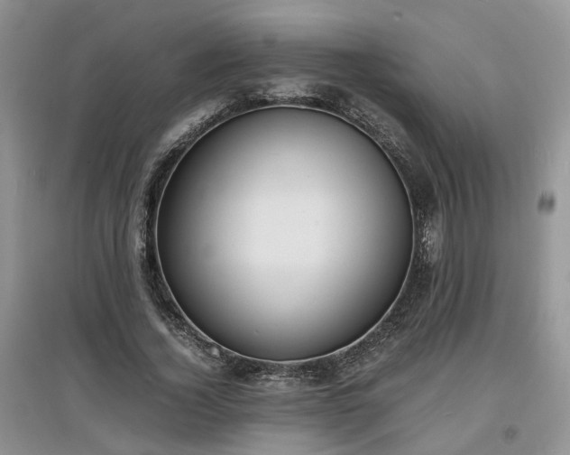 X0000097620732200803071510
