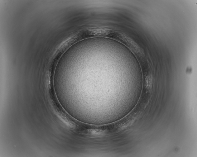 X0000097620733200803071510