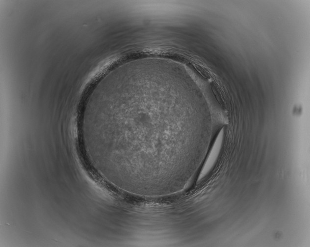 X0000097620734200803071510