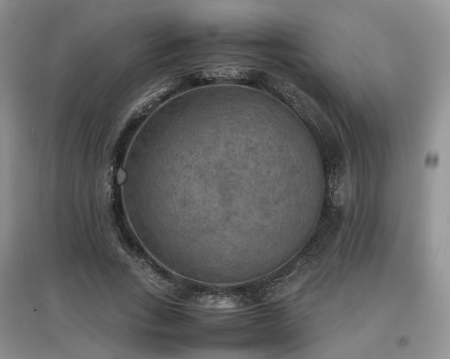 X0000097620735200803071510