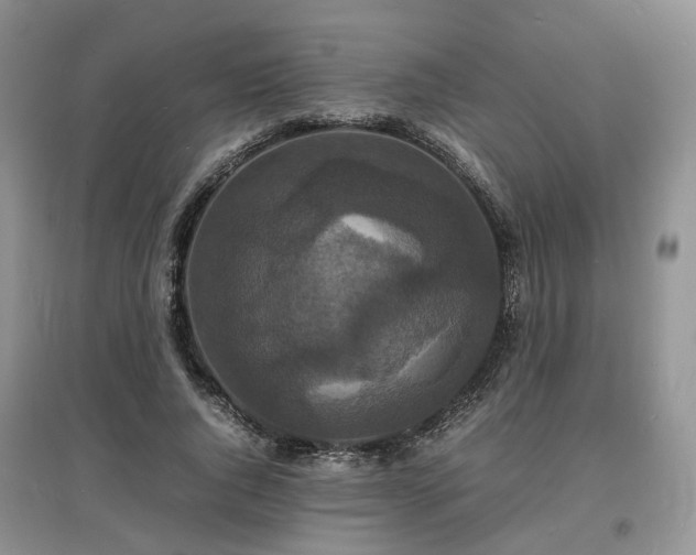 X0000097620736200803071510