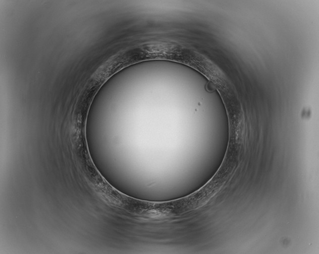X0000097620737200803071510