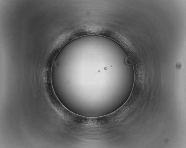 X0000097620738200803071510