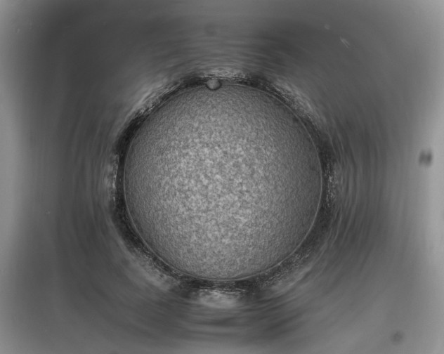 X0000097620739200803071510