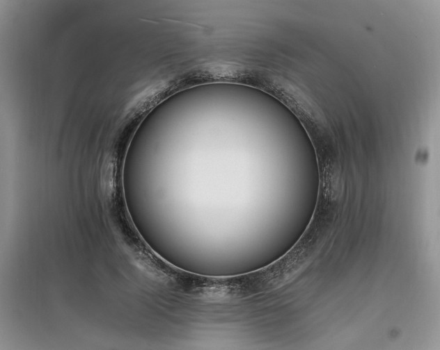 X0000097620740200803071510