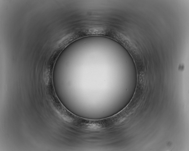 X0000097620741200803071510