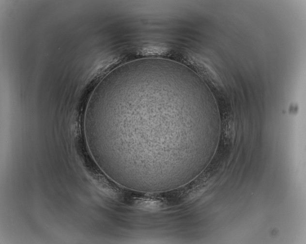 X0000097620743200803071510