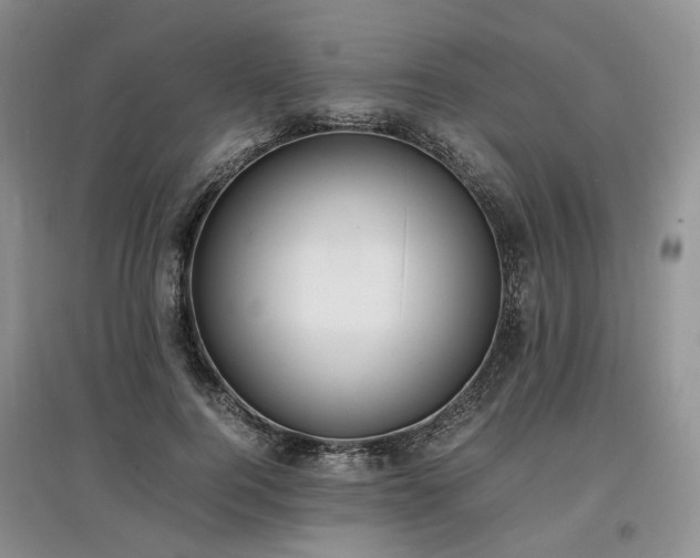 X0000097620744200803071510