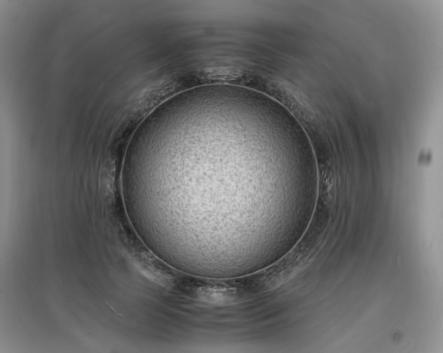 X0000097620745200803071510