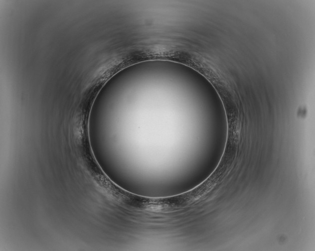 X0000097620746200803071510