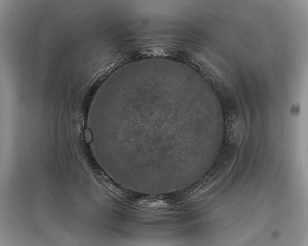X0000097620747200803071510