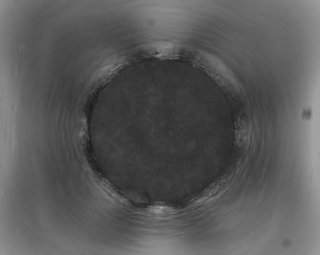 X0000097620748200803071510