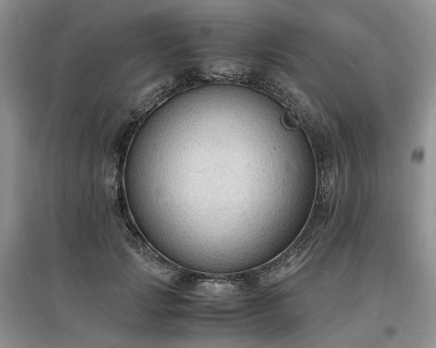 X0000097620749200803071510