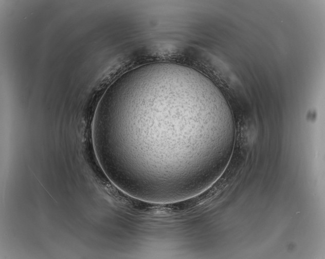 X0000097620750200803071510