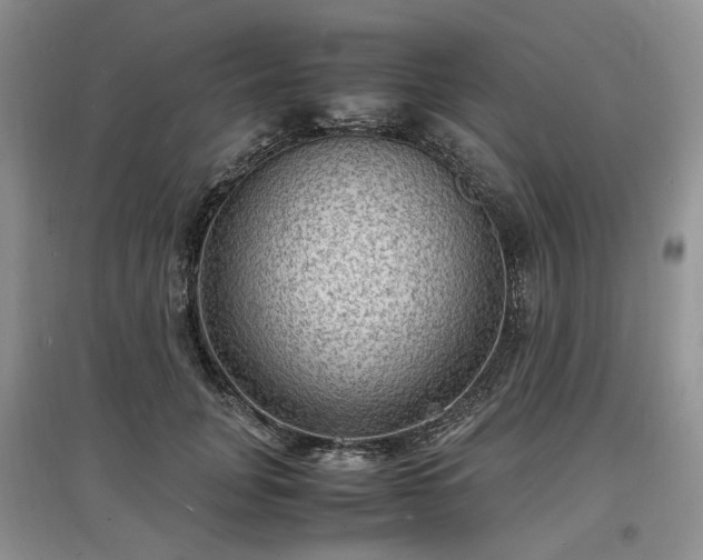 X0000097620751200803071510