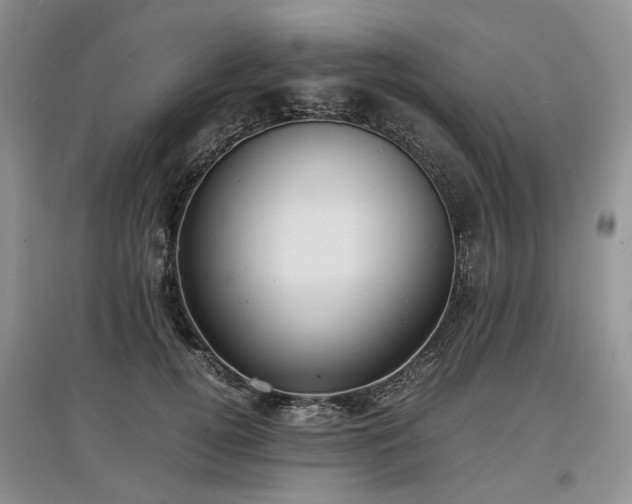 X0000097620752200803071510