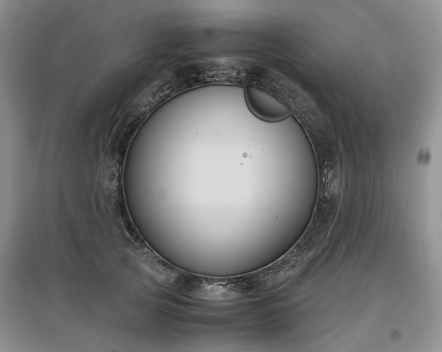 X0000097620753200803071510