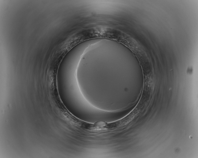 X0000097620754200803071510