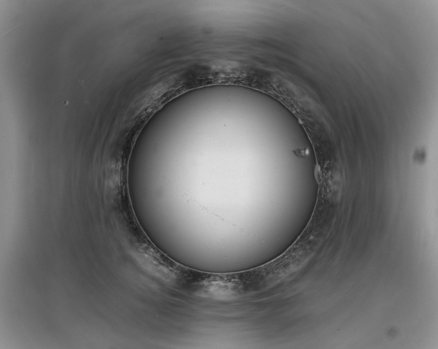 X0000097620756200803071510