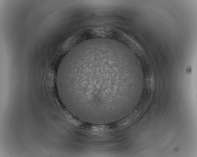 X0000097620757200803071510