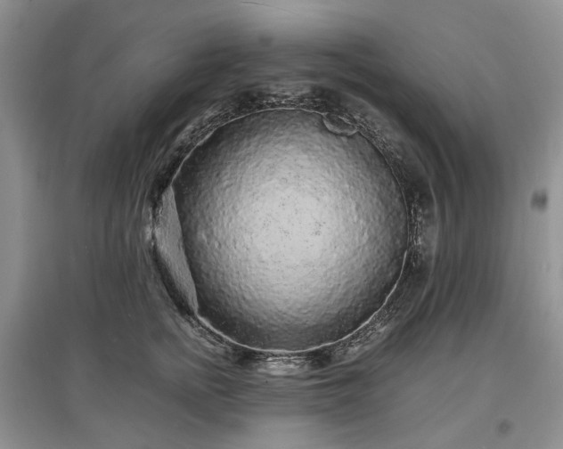 X0000097620758200803071510
