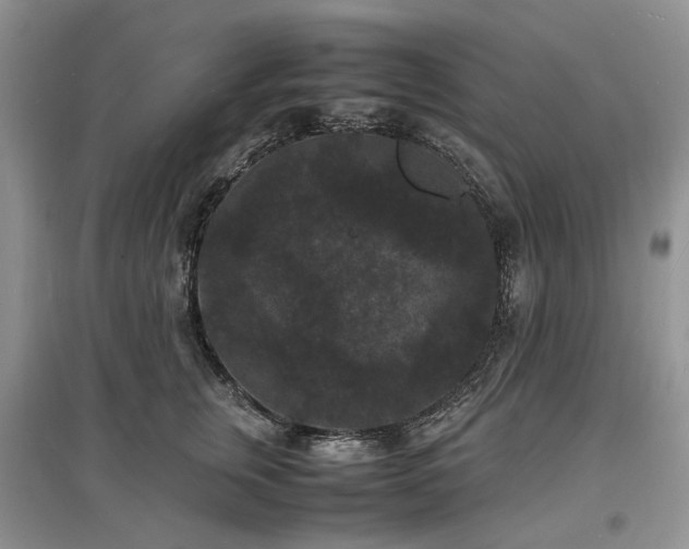 X0000097620759200803071510