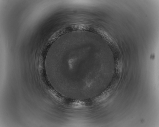 X0000097620760200803071510