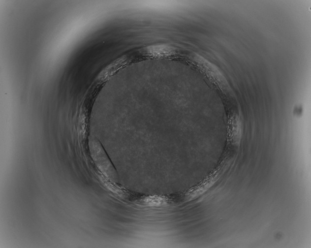 X0000097620762200803071510