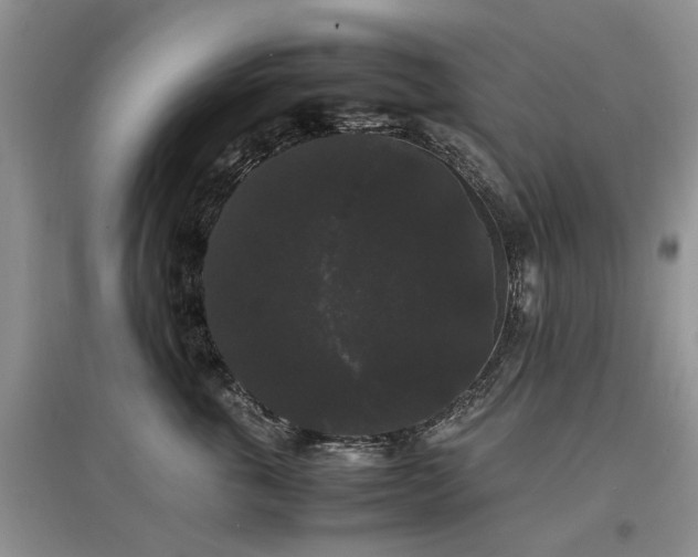 X0000097620763200803071510