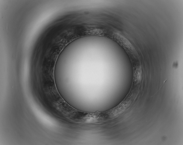 X0000097620764200803071510