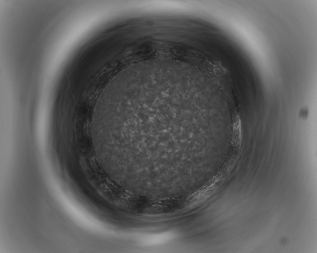 X0000097620765200803071510