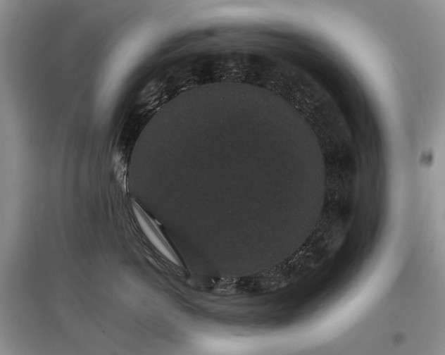 X0000097620766200803071510